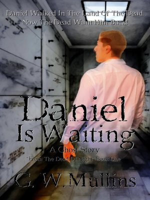 cover image of Daniel Is Waiting A Ghost Story